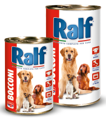 RALF - Bocconi